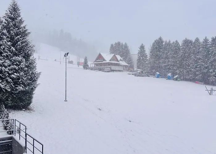Widokowy - Z Darmowym Parkingiem I Balkonem Z Widokiem Na Stok- Bestrooms Lejlighed Szczyrk